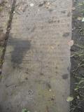 image of grave number 569021